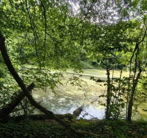 Balade ombragée autour de Fontaines - Fontaines - 4