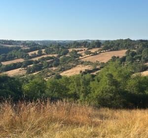 Bois de Linars - Olemps - 3