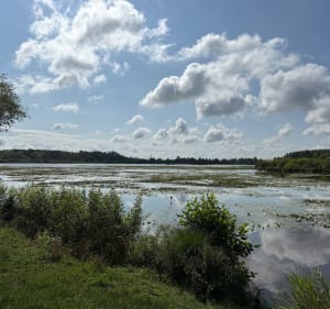Autour des marais de Sauchy-Cauchy - Sauchy-Cauchy - 3