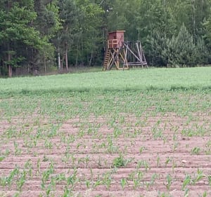 Wola Rakowa, Pałczew, Romanów - Starowa Góra - 3