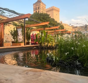 Entraigues sur la Sorgue Avignon - Entraigues-sur-la-Sorgue - 4