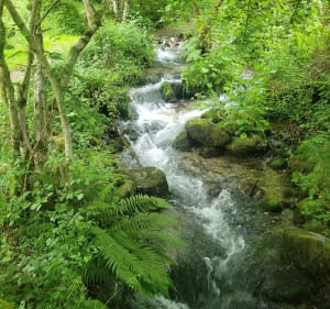 Boucle lac de Bethmale - Bethmale - 5