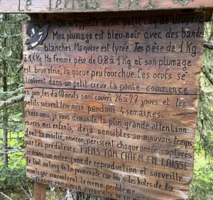Randonnée des lacs Robert et Achard - Chamrousse - 5