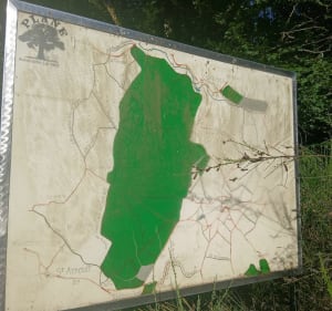 Circuit de la loge - Prunay-Cassereau - 4