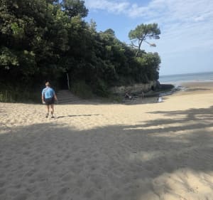 Domaine des fées Saint-Palais-Royan - Royan - 4