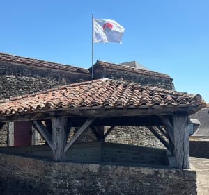 La Cité bastionnée de Navarrenx - Navarrenx - 5