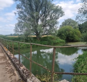 Saint Germain du Bois / Frangy en Bresse - Saint-Germain-du-Bois - 5