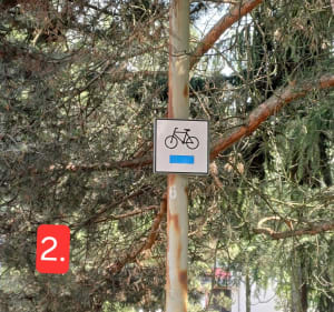 Szlak Lasu Zagórskiego - Sosnowiec - 3