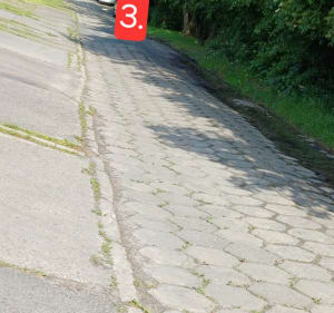 Szlak Lasu Zagórskiego - Sosnowiec - 4