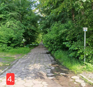 Szlak Lasu Zagórskiego - Sosnowiec - 5