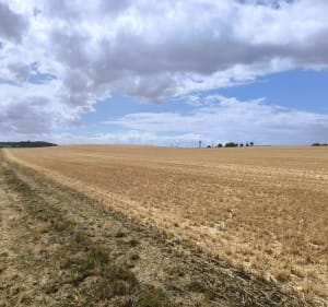 Le sentier au fil de l'Herbon - Massay - 3
