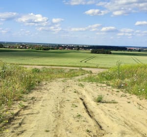 Jogging/spacer w czystym powietrzu - Oława - 4