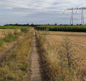 Balade autour de Courdimanche et Menucourt - Courdimanche - 3