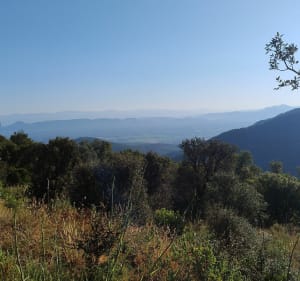 Les Petites Maures au départ de Fréjus - Fréjus - 3