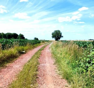 Gravel  – PAŁACE, MAUZOLEA, ŁOWISKA I KĄPIELISKA - Oława - 3