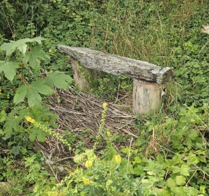 Chemin de quiery et eco-pâturage Brebières - Brebières - 4
