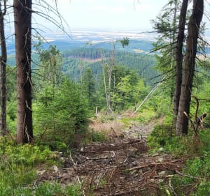 Góra Sowia - Paweł - 3