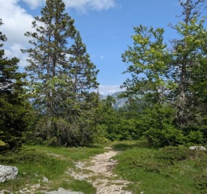 Le mont Margériaz - Aillon-le-Jeune - 4
