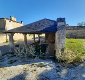 Grand parcours entre Courbillac et Mareuil - Courbillac - 5