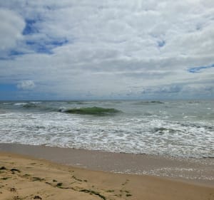 Boucle du phare de la Coubre - Yannick - 3