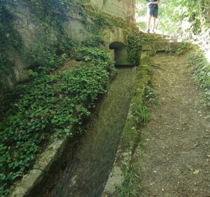 Bois Tramolé - Tramolé - 5