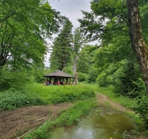 GSB z Puław Górnych do  Przybyszowa - Puławy - 5