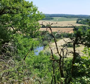 Balade entre Canal du Nivernais et Forêt ombragé - Mailly-le-Château - 3
