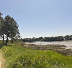 Balade près du rives du Vincin - Vannes - 3