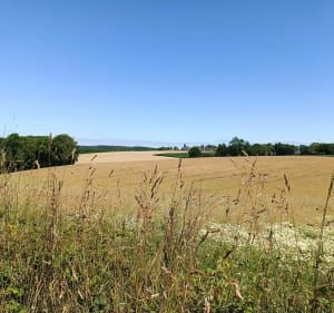 Dans la campagne de Jouy-sous-Thelle - Jouy-sous-Thelle - 5