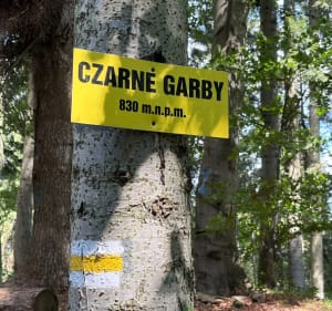 Wymagająca trasa rowerowa - Muszyna - 3