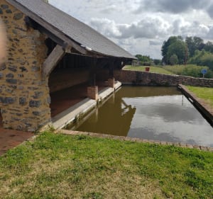 Découverte autour de Saint-Rémy-de-Sillé - Saint-Rémy-de-Sillé - 3