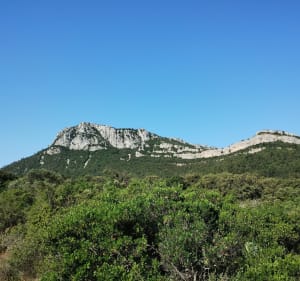 Le massif du Coudon - La Farlède - 4