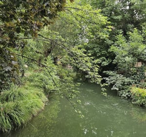 Les bords de Marne à Créteil - Créteil - 5