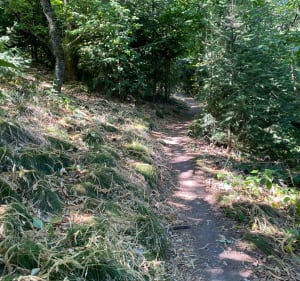 Entre les deux roches depuis Crêches-sur-Saône - Crêches-sur-Saône - 5