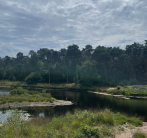 Veertien vennen route - Oisterwijk - 3