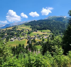 Lac de la Ferriaz - La Clusaz - 4