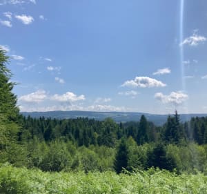 Les pierres Folles - Fournols - 5