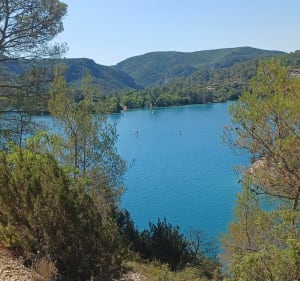 Petite randonnée le long du lac d'Esparron - Esparron-de-Verdon - 3