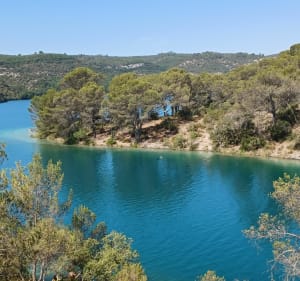 Petite randonnée le long du lac d'Esparron - Esparron-de-Verdon - 4