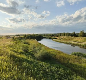 Halemba Makisziwy Przyszowice Chudów Borowa Wieś Halemba - Ruda Śląska - 5