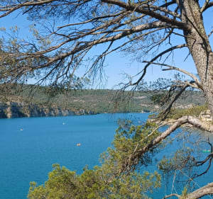 Petite randonnée le long du lac d'Esparron - Esparron-de-Verdon - 5