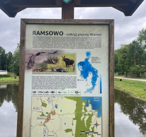 Warmińska pętelka popołudniowa - Wilimy - 5
