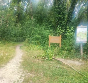 Tour de forêt de Sénart - 18 km - Vigneux-sur-Seine - 4
