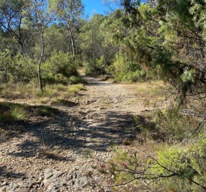 Autour de Rocbaron - Rocbaron - 3