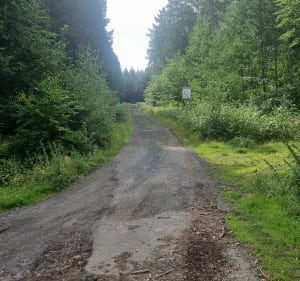 Smrk wieża widokowa - Świeradów-Zdrój - 3