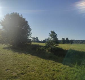 Na Kielecczyznoe - Strzeszkowice - 3