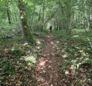 Rando VTT depuis Angecourt - Angecourt - 5