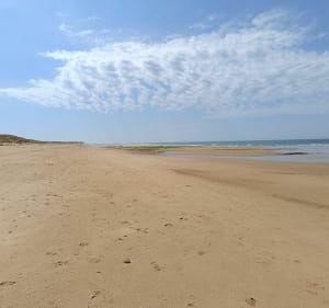 Promenade entre  Marais salante forêt et plage - L'Île-d'Olonne - 4