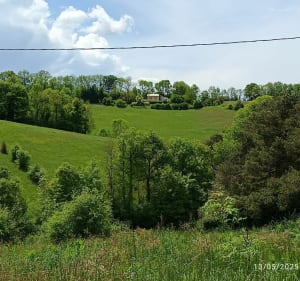 Campagne et forêt autour de St Pierre de Trivisy - Saint-Pierre-de-Trivisy - 2