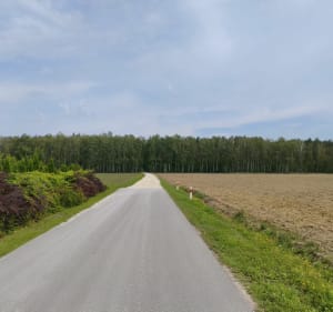 Trasa objazdowa wzniesienia łódzkie - Andrespol - 3